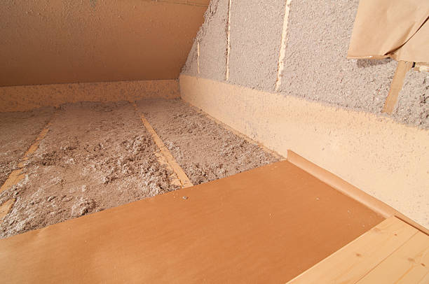 Best Professional Insulation Contractor  in Thunderbolt, GA