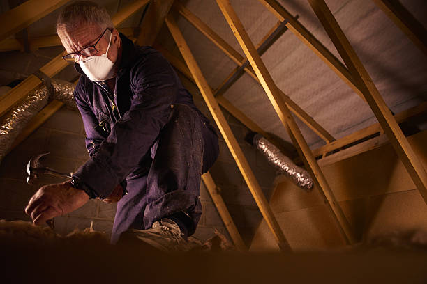 Best Insulation Contractors for Homes  in Thunderbolt, GA